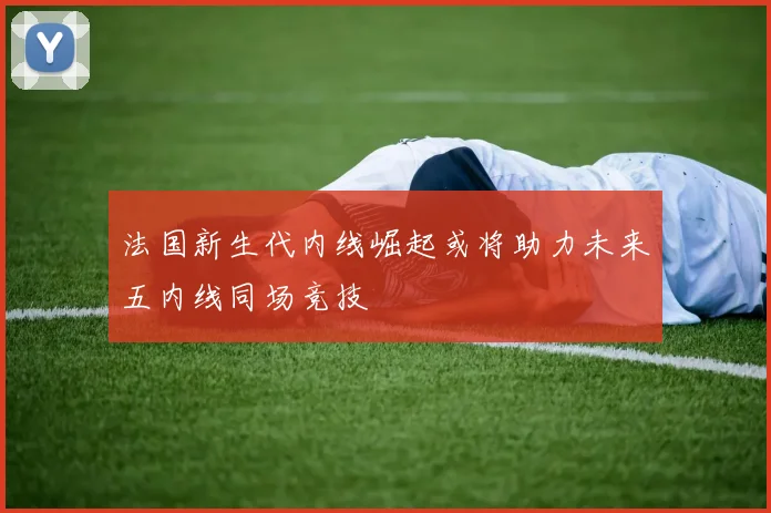 法国新生代内线崛起或将助力未来五内线同场竞技